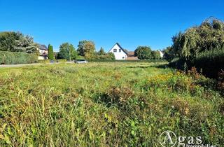 Immobilie kaufen in 17348 Mildenitz, Bauträgerfreies ca. 1.976 m² großes Grundstück zu verkaufen