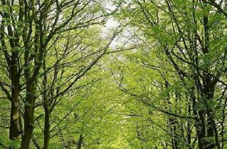 Wohnung kaufen in 01454 Radeberg, Radeberg - Sanierte Terrassenwohnung mit eigenem Garten an der Dresdner Heide!