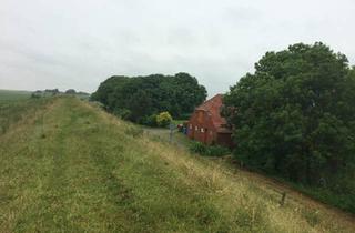 Haus kaufen in 26524 Hage, Hage - Idyllisches Nordseehaus in fast Alleinlage - Rückzugsort am Deich