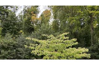 Penthouse kaufen in 50933 Braunsfeld, Penthouse Wohnung in Braunsfeld