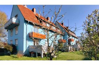 Wohnung kaufen in 67310 Hettenleidelheim, Hochwertig renovierte 3-Zimmer-Wohnung bei Grünstadt – solide Kapitalanlage mit Zukunftspotenzial