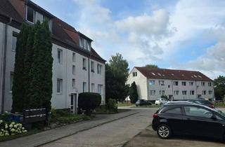 Wohnung mieten in Glambecker Str. 24/24a- 25/25a -, 16247 Joachimsthal, 5x Wohnung zur Vermietung in Joachimsthal - Verfügbar ab November 2025