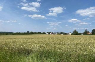 Wohnung mieten in 54634 Bitburg, Moderne Wohnung im Zentrum!