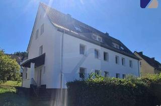 Wohnung mieten in Drosselweg 13, 58840 Plettenberg, Plettenberg-Ohle: Modernisierte 2-Zimmer-Wohnung