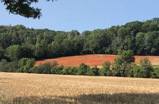 Wohnung mieten in Am Stadtfeld 19, 06636 Laucha, Sonnige 3-Zimmer-Wohnung