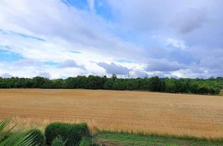 Wohnung mieten in Richard-Wagner-Str. 10, 71701 Schwieberdingen, Ein Traum ! Helle, sehr ruhig gelegene 3 Zimmerwohnung mit EBK und TG Platz in Schwieberdingen !
