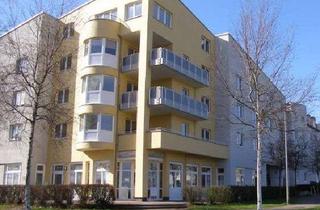 Wohnung mieten in Lindenallee 13, 34225 Baunatal, Großzügige 3-Zimmerwohnung in Baunatals familienfreundlichem Stadtteil Baunsberg