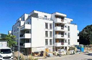 Wohnung mieten in 53489 Bad Bodendorf, Neubau Erstbezug, exklusive 2-Zimmer- Wohnung mit Pkw-Außenstellplatz in direkter Rheinlage