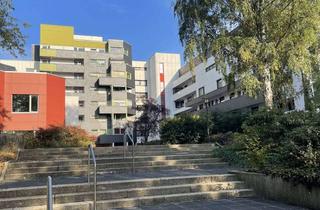 Wohnung mieten in 59505 Bad Sassendorf, Frisch renoviert: ansprechende 3-Zimmer-Wohnung mit Einbauküche und Balkon in Bad Sassendorf