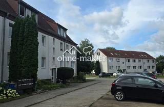 Wohnung mieten in 16247 Joachimsthal, 4x WE zur Vermietung in Joachimsthal - Verfügbar ab Aug 2026