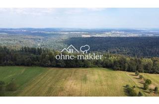 Grundstück zu kaufen in 76332 Bad Herrenalb, Panorama-Weitblick für kleines Budget