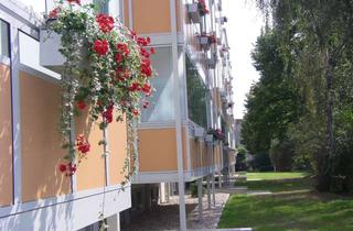 Wohnung mieten in Georg-Schumann-Straße 21, 04808 Wurzen, Ruhiges Single-Appartement mit verglastem XXL-Balkon.