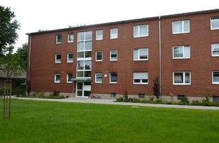 Wohnung mieten in Michaelisweg, 49356 Diepholz, Schöne Wohnung im 2.Obergeschoss