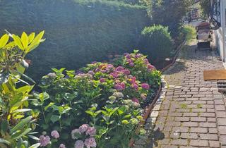 Haus kaufen in 21279 Hollenstedt, Kernsanierter Bungalow mit großem Garten im ruhigen Hollenstedt-Ochtmannsbruch