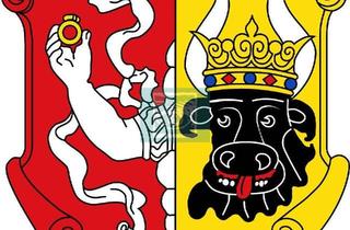 Mehrfamilienhaus kaufen in Mühlenstraße, 17235 Neustrelitz, Kapitalanleger aufgepasst! Mehrfamilienhaus in bester Lage zu verkaufen!