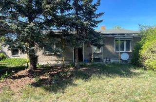 Haus kaufen in 16515 Oranienburg, Wohnen auf einer Ebene - sanierungsbedürftiges EFH in Oranienburg