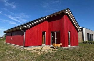 Haus kaufen in 38524 Sassenburg, Natürlich bauen, modern genießen - Ihr Ausbauhaus am Bernsteinsee
