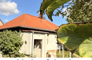 Einfamilienhaus kaufen in Bergschenkenweg 50, 06118 Gottfried-Keller-Siedlung, Einfamilienhaus mit sehr schönem, großen Grundstück im Grünen und doch zentral gelegen zu verkaufen.