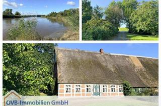 Haus kaufen in 21756 Osten, Landleben in traumhafter Kulisse mit viel Platz für Familie und Pferde