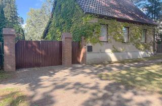 Einfamilienhaus kaufen in 16818 Walsleben, Wohnen, wo andere entspannen – charmantes Einfamilienhaus mit viel Garten