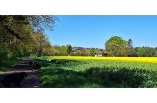 Haus kaufen in 31606 Warmsen, Großzügiges Landhaus mit Mietswohnung, Pferdehaltung und 40 kW-Photovoltaikanlage in traumhafter All
