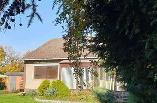 Haus mieten in 38239 Sauingen, Geräumiges, preiswertes 6-Raum-Einfamilienhaus in Salzgitter Sauingen