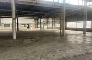 Gewerbeimmobilie kaufen in 89155 Erbach, NEU *Paul & Partner* GROßZÜGIGE GEWERBEHALLE IN ERBACH BEI ULM ! ENTWICKLUNGSPOTENTIAL !