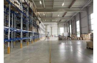 Büro zu mieten in 21129 Waltershof, ca. 19.945 m² Lager-/Logistikflächen, ca. 890 m² Mezzanine sowie ca. 765 m² Büro