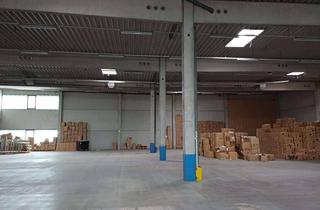 Gewerbeimmobilie mieten in 50354 Hürth, Funktionale Lager- / Logistikhalle mit 8 Rampentoren