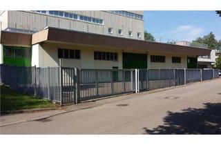 Gewerbeimmobilie mieten in 70806 Kornwestheim, Hallen-/Lager-/Produktionsflächen in Kornwestheim