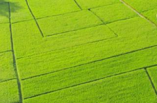 Anlageobjekt in 71735 Eberdingen, GROßZÜGIGE LANDWIRTSCHAFTSFLÄCHE IN GEFRAGTER LAGE VON EBERDINGEN