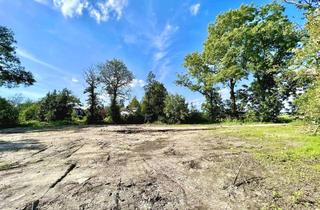 Grundstück zu kaufen in Klosterweg, 25572 Ecklak, Großes Baugrundstück mit Baugenehmigung in herrlicher Alleinlage