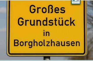 Grundstück zu kaufen in 33829 Borgholzhausen, Idyllisches Grundstück mit Altbestand in ruhiger Lage