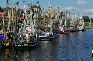 Grundstück zu kaufen in 26736 Krummhörn, Grundstück nahe Greetsiel - Ostfriesland