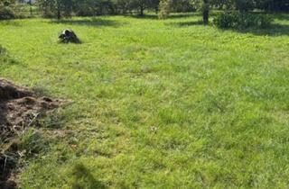 Grundstück zu kaufen in 89340 Leipheim, Ihr Traum vom Eigenheim beginnt hier – Baugrundstück in idyllischer Lage von Leipheim