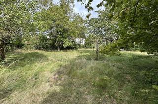 Grundstück zu kaufen in 63322 Rödermark, Seltene Gelegenheit - Baugrundstück in Rödermark-Urberach!