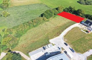 Grundstück zu kaufen in Bünsdorfer Weg, 23923 Schönberg, Baugrundstück in Ostseenähe - Schönberg (P. 5)