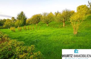 Grundstück zu kaufen in Sindelfinger Weg, 71229 Leonberg, Streuobstwiese in idyllischer Ortsrandlage in Leonberg-Warmbronn