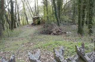 Grundstück zu kaufen in Bastenhauserstraße - Ecke Wiesenstraße, 67814 Dannenfels, Baugrundstück 4.000 m² für Wohnbebauung incl. zusätzliches Wiesengrundstück 3.500 m² in Dannenfels