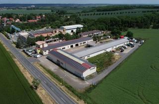 Gewerbeimmobilie kaufen in Unter Dem Lohfelde, 99510 Niederreißen, 12,0 % Rendite! Büros und Produktions-/Lagerhallen, mit PV-Anlage und 14.398 m²