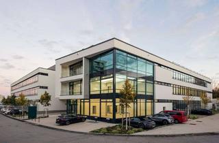 Lager mieten in Kammererstraße 41-49, 71636 Ludwigsburg, Lagerfläche zu vermieten