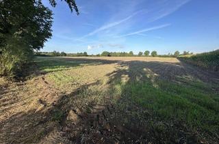 Gewerbeimmobilie kaufen in 46325 Borken, Investieren in Natur und Landwirtschaft: Ackerfläche nahe Burlo-Vardingholter Venn
