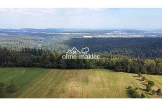 Immobilie kaufen in Neuenbürger Str. 31, 76332 Bad Herrenalb, Panorama-Weitblick für kleines Budget