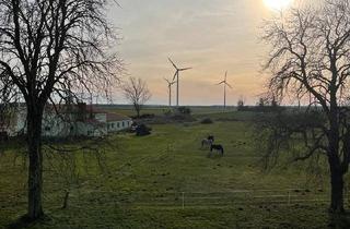 Mehrfamilienhaus kaufen in 17036 Neubrandenburg, Neubrandenburg - Mehrfamilienhaus mit 10 Wohnungen ca 650m2 Wohnfläche Ferienw