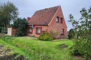 Haus kaufen in 25693 St. Michaelisdonn, Sankt Michaelisdonn - Kleines alleinstehendes Haus mit großem Grundstück