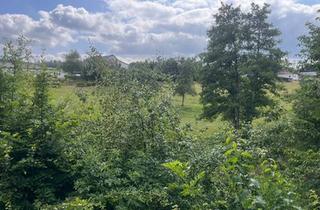 Haus kaufen in 54552 Mehren, Mehren - Fernblick, Naturidylle & Raum für Ideen Ihr Projekt in Katzwinkel