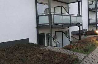 Wohnung mieten in 53562 St. Katharinen, Schöne 1-Zimmer-Terrassenwohnung in Sankt Katharinen