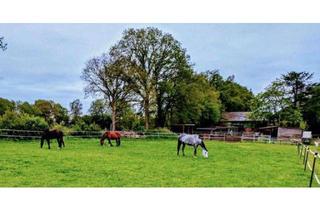 Haus kaufen in 24576 Weddelbrook, Platz für Ihre Pferde!