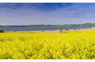 Grundstück zu kaufen in 23942 Dassow, Seltene Gelegenheit für Investoren