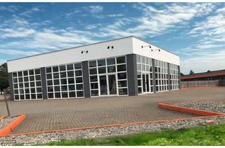 Gewerbeimmobilie mieten in Am Kleinen Stadtfeld, 23970 Wismar-Süd, großzügige Gewerbe-/Verkaufshalle an der A20, Nachbarschaft: u.a. McDonald´s & Lidl